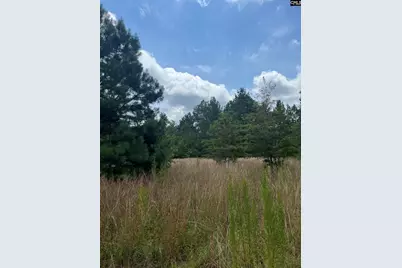 Bhl 7 Boise Cascade Road Bhl 7, Bethune, SC 29009 - Photo 11