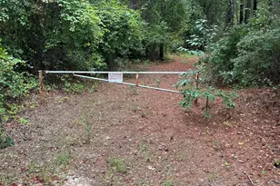 Bhl 7 Boise Cascade Road Bhl 7, Bethune, SC 29009 - Photo 15