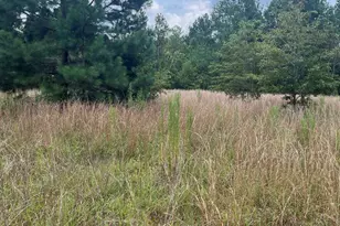 Bhl 7 Boise Cascade Road Bhl 7, Bethune, SC 29009 - Photo 7