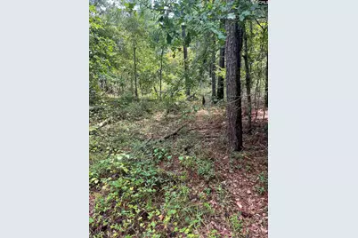 Bhl 7 Boise Cascade Road Bhl 7, Bethune, SC 29009 - Photo 5