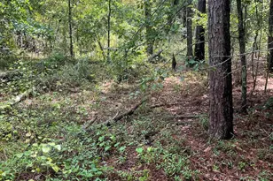 Bhl 7 Boise Cascade Road Bhl 7, Bethune, SC 29009 - Photo 5