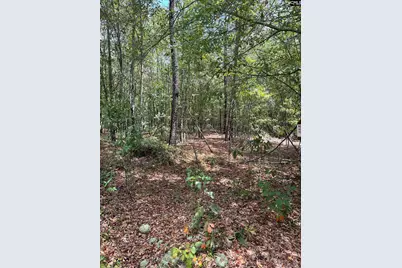 Bhl 7 Boise Cascade Road Bhl 7, Bethune, SC 29009 - Photo 3