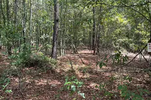 Bhl 7 Boise Cascade Road Bhl 7, Bethune, SC 29009 - Photo 3