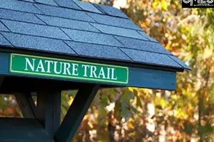 137 Wescott Pl, Columbia, SC 29229 - Photo 33