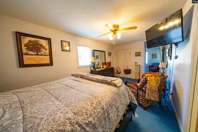 911 Hannah Avenue, Hartsville, SC 29550 - Photo 15