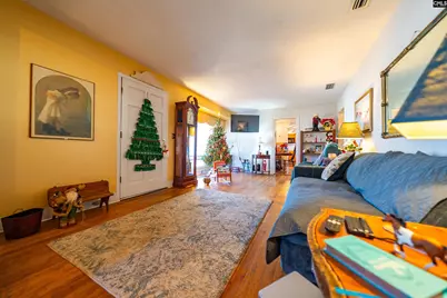 911 Hannah Avenue, Hartsville, SC 29550 - Photo 7