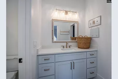 341 Rocky Meadow Drive, Gilbert, SC 29054 - Photo 71