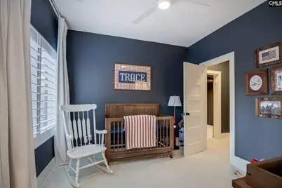 341 Rocky Meadow Drive, Gilbert, SC 29054 - Photo 69