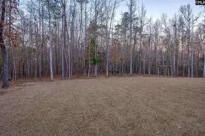 341 Rocky Meadow Drive, Gilbert, SC 29054 - Photo 83