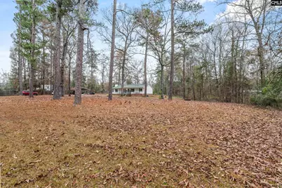 1661 Old Lexington Highway, Chapin, SC 29036 - Photo 3