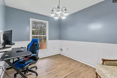 1661 Old Lexington Highway, Chapin, SC 29036 - Photo 11