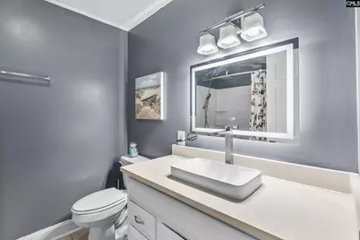 1661 Old Lexington Highway, Chapin, SC 29036 - Photo 21