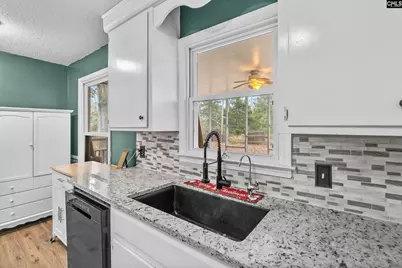 1661 Old Lexington Highway, Chapin, SC 29036 - Photo 9