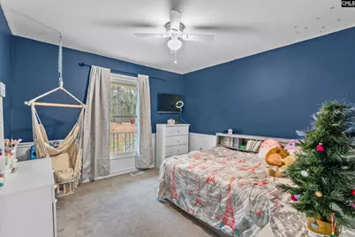 1661 Old Lexington Highway, Chapin, SC 29036 - Photo 17