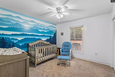 1661 Old Lexington Highway, Chapin, SC 29036 - Photo 19