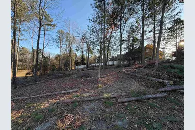 208 Crickentree Drive, Blythewood, SC 29016 - Photo 7