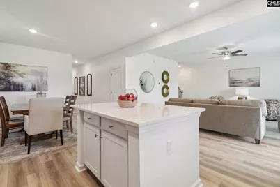 578 Griffon Drive, Chapin, SC 29036 - Photo 7