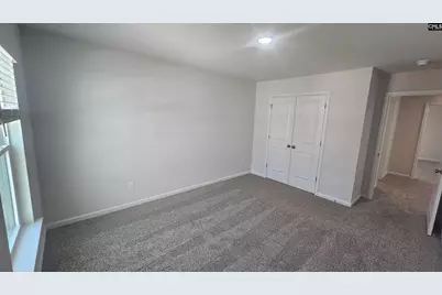 262 Sunny Hill Drive, Blythewood, SC 29016 - Photo 61