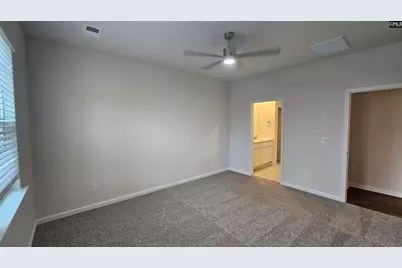 262 Sunny Hill Drive, Blythewood, SC 29016 - Photo 35