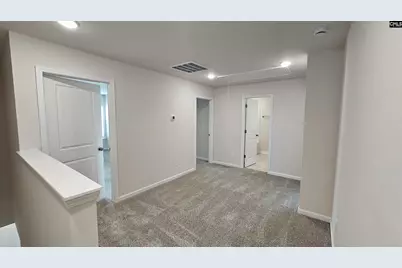 262 Sunny Hill Drive, Blythewood, SC 29016 - Photo 45