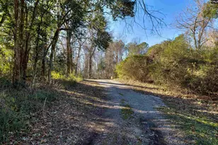 514 Church St, Peak, SC 29122 - Photo 5