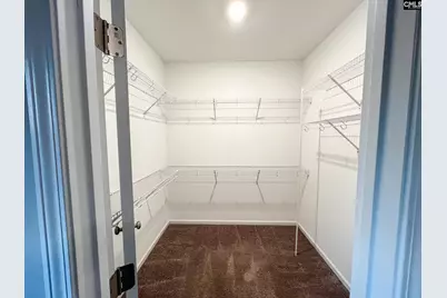 217 Wading Bird Loop, Blythewood, SC 29016 - Photo 11