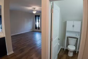 217 Wading Bird Loop, Blythewood, SC 29016 - Photo 11