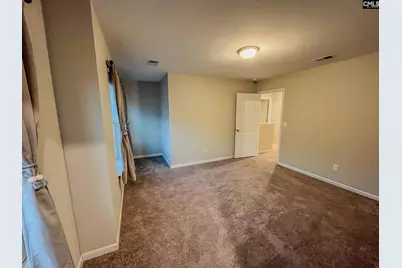 217 Wading Bird Loop, Blythewood, SC 29016 - Photo 21
