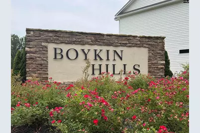 598 Griffon Drive, Chapin, SC 29036 - Photo 23