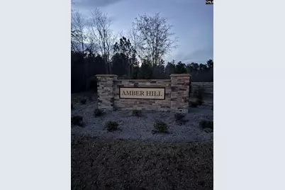 629 Silica Court, West Columbia, SC 29170 - Photo 9