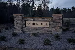 629 Silica Ct, West Columbia, SC 29170 - Photo 9