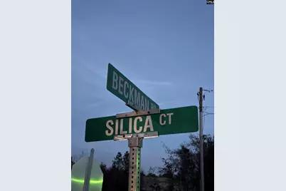 608 Silica Court, West Columbia, SC 29170 - Photo 9