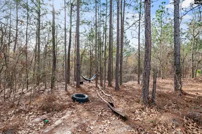 506 Hallman Mill Rd., Leesville, SC 29070 - Photo 31