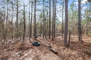 506 Hallman Mill Rd, Leesville, SC 29070 - Photo 31