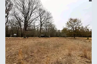 2265 Ninety 6 Road, North, SC 29112 - Photo 3