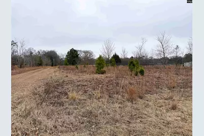 2265 Ninety 6 Road, North, SC 29112 - Photo 9