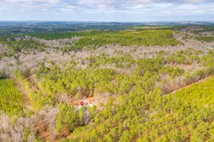 122 E Lonesome Pine Trail, Camden, SC 29020 - Photo 37