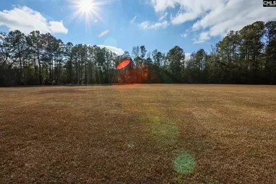 149 Belton Drive, Orangeburg, SC 29118 - Photo 3