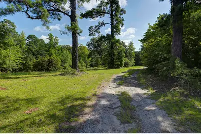 Nx 1057 Langford Road, Blythewood, SC 29106 - Photo 3