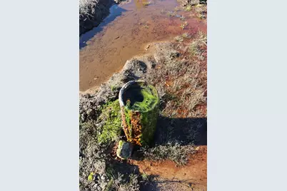 0 Highway 3, Blackville, SC 29817 - Photo 17