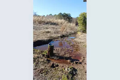 0 Highway 3, Blackville, SC 29817 - Photo 13