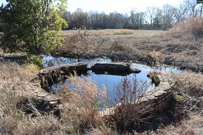 0 Highway 3, Blackville, SC 29817 - Photo 15