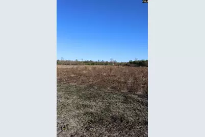 0 Highway 3, Blackville, SC 29817 - Photo 19