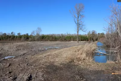 0 Highway 3, Blackville, SC 29817 - Photo 5