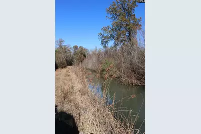 0 Highway 3, Blackville, SC 29817 - Photo 7