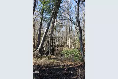 0 Highway 3, Blackville, SC 29817 - Photo 11