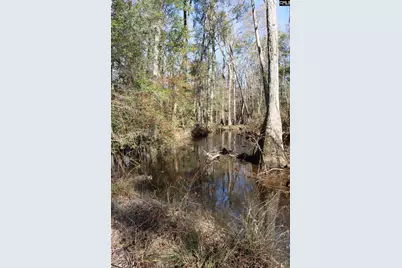 0 Highway 3, Blackville, SC 29817 - Photo 9