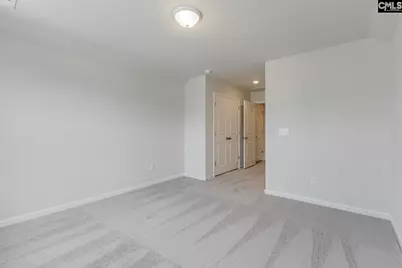 718 Clementine Run, Gilbert, SC 29054 - Photo 29