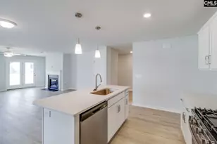 714 Clementine Run, Gilbert, SC 29054 - Photo 11