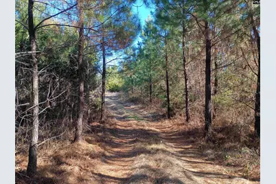 1163 Juneberry Rd, Camden, SC 29020 - Photo 13